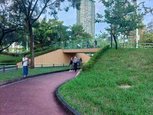 KIMG3147