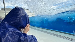 すましー９IMG_8170