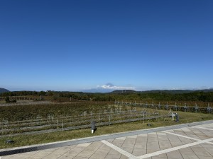 IMG_2033