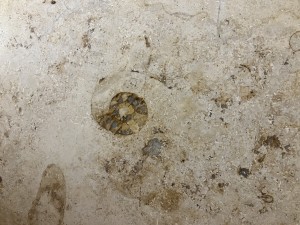 IMG_3634