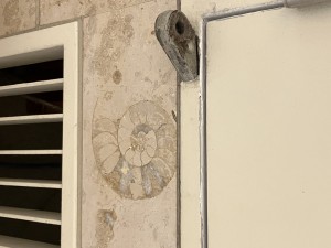 IMG_3636