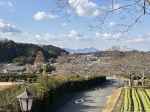 IMG_3184