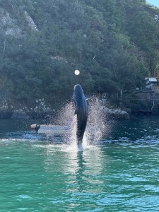 IMG_5780