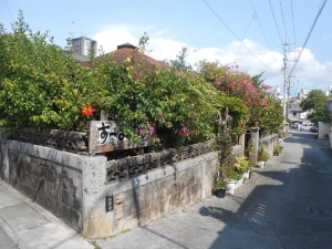 IMG_9084
