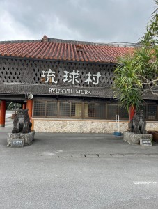 image0 (95)