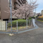 20250402_080703