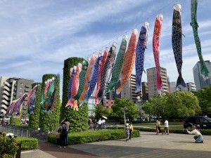 IMG_4459
