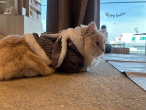 IMG_5469