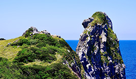 猿岩