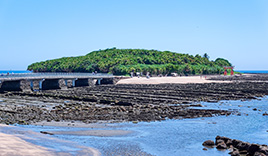 青島