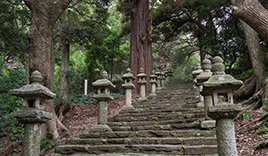 万松院