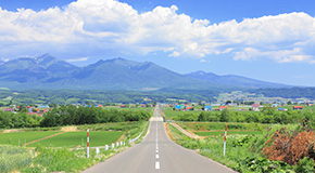 北海道のレンタカーのご紹介