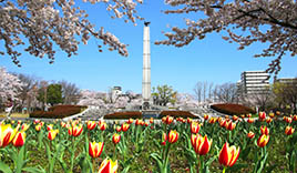 開成山公園