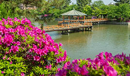桑名城址（九華公園）