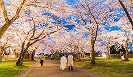 盛岡城跡公園（岩手公園）