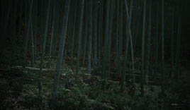 相生山緑地