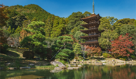 瑠璃光寺