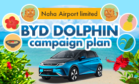 BYD DOLPHIN campaign plan
