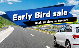 Early Bird 90 - Collision Damage Waiver (CDW) Included