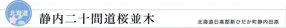 北海道　静内二十間道桜並木　北海道日高郡新ひだか町静内田原