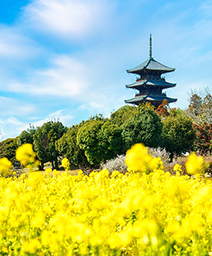 備中岡山城のイメージ