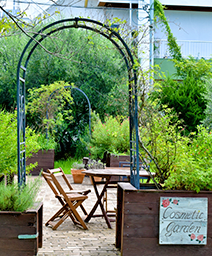 牛窓オリーブ園